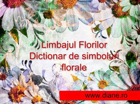 semnificatia floriilor|Semnificațiile florilor: limbajul florilor